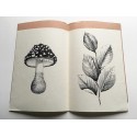 Cy Twombly - Natural History, Part I: Mushrooms, Part II: Some Trees of Italy. Galleriet, Lund, Sweden, okt.-nov. 1981