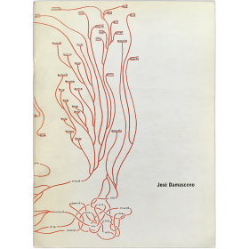 José Damasceno - Trabalhos 1992-1998. Galeria Camargo Vilaça, Sao Paulo, 1998
