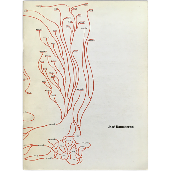 José Damasceno - Trabalhos 1992-1998. Galeria Camargo Vilaça, Sao Paulo, 1998