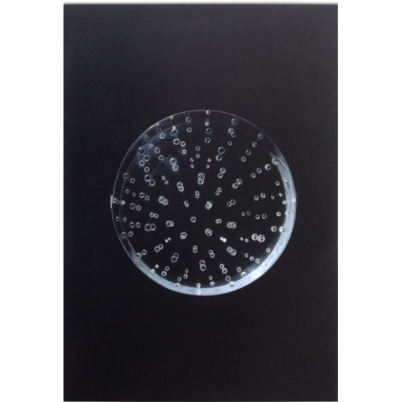 Gyula Kosice - Anticipaciones