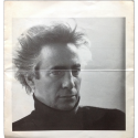 Rogelio Polesello. Galería Rubbers, Buenos Aires, 13 de agosto al 1º de septiembre de 1981