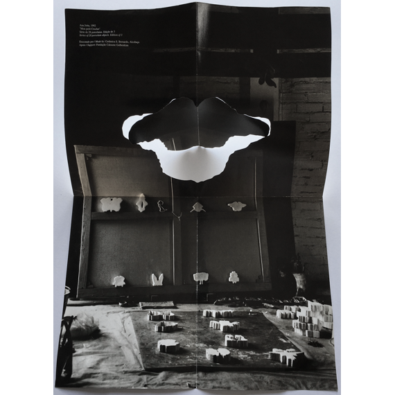 Ana Jotta. Galeria Alda Cortez, Lisboa, 1992