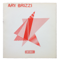 Ary Brizzi - "Espacio activado"