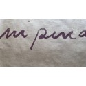 Le Parole Rampanti, nº 18-19: Raúl Zurita - "Escrito en el desierto"