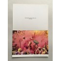 Cristina García Rodero - "Holi, la celebración del amor". Galería Juana de Aizpuru, Madrid, enero 2020