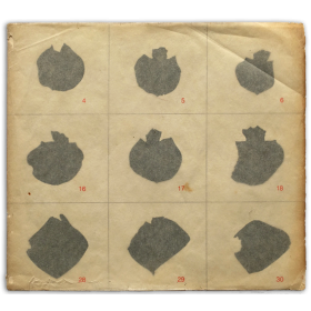 Roberto Obregón - Veinte disecciones. Museo de Bellas Artes de Caracas, Caracas, Octubre de 1982