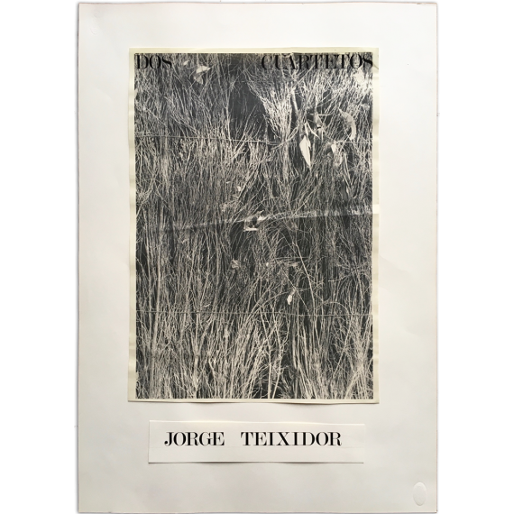 "Dos cuartetos" - Jorge Teixidor