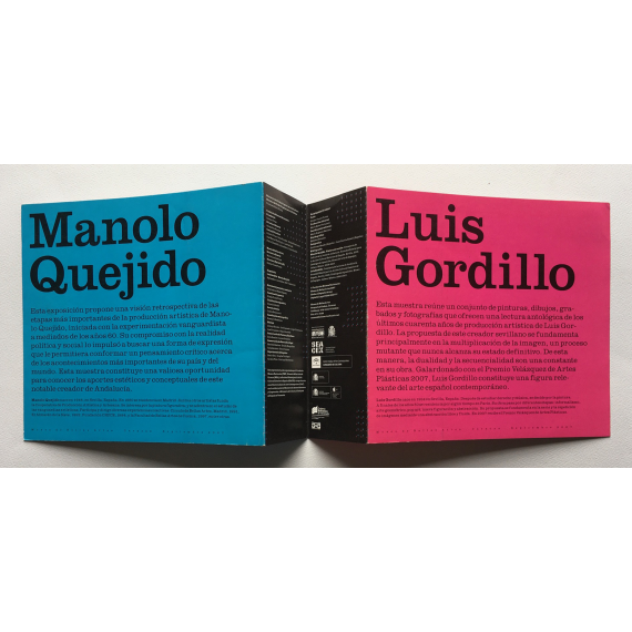 Luis Gordillo y Manolo Quejido. Museo de Bellas Artes de Caracas, septiembre - noviembre 2007