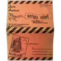 Arte Postale! 52 - Feb./March 85: Scripta Volant: An Air Mail Poetry Project organized by V. Baroni