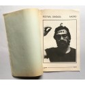 Poesia di comportamento? Dibattito sulla poesia visiva e/o di comportamento
