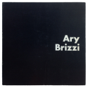 Ary Brizzi. Galería Rubbers, Buenos Aires, 6 al 20 de setiembre de 1978