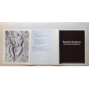 Ana Mendieta - Rupestrian Sculptures. Esculturas Rupestres. A.I.R. Gallery, New York, November 1981