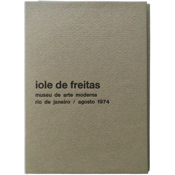Iole de Freitas. Museu de Arte Moderna Rio de Janeiro, agosto 1974