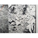 Derrière l'arbre (Duchamp no ha comprendido Rembrandt!...). Un Video-happening de Vostell en Barcelona 1976