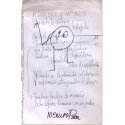 “Ni socio listo ni capitalista” - Poema visual Nicanor Parra