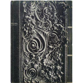 The Idea of Louis Sullivan